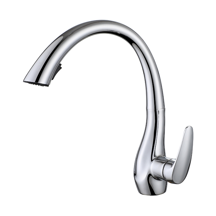 Sink Tap With Pull Out Spray