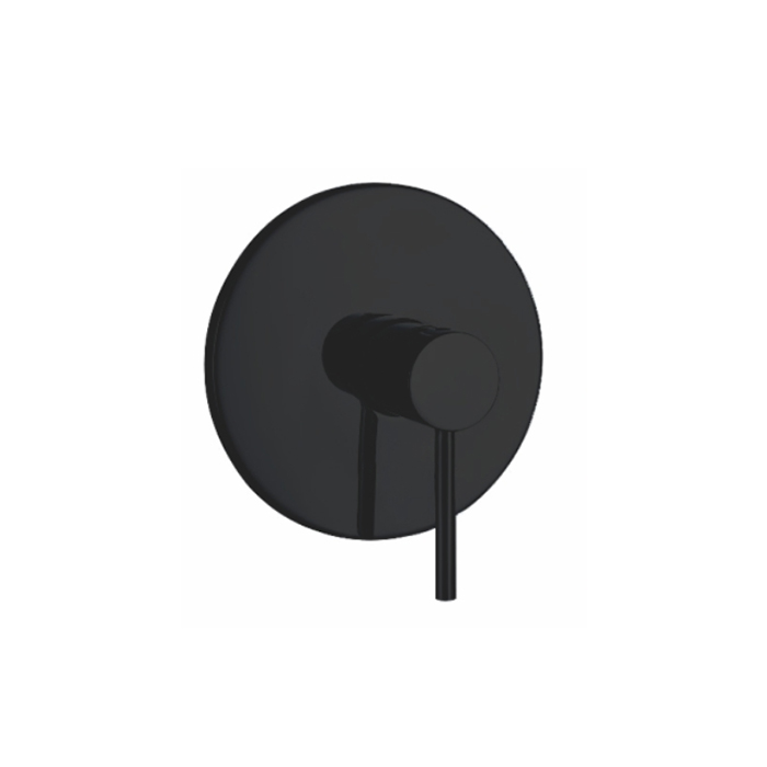 Black Concealed Mixer Valve