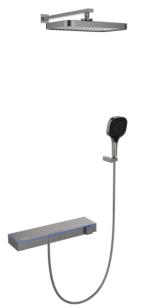 2-Function Digital Shower Head