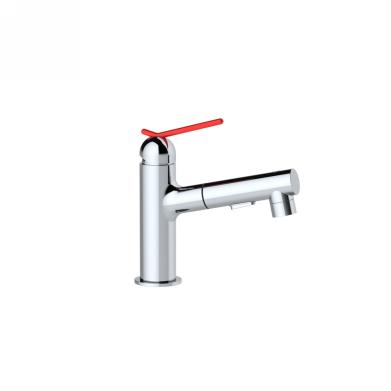 Pull Out Basin Faucet